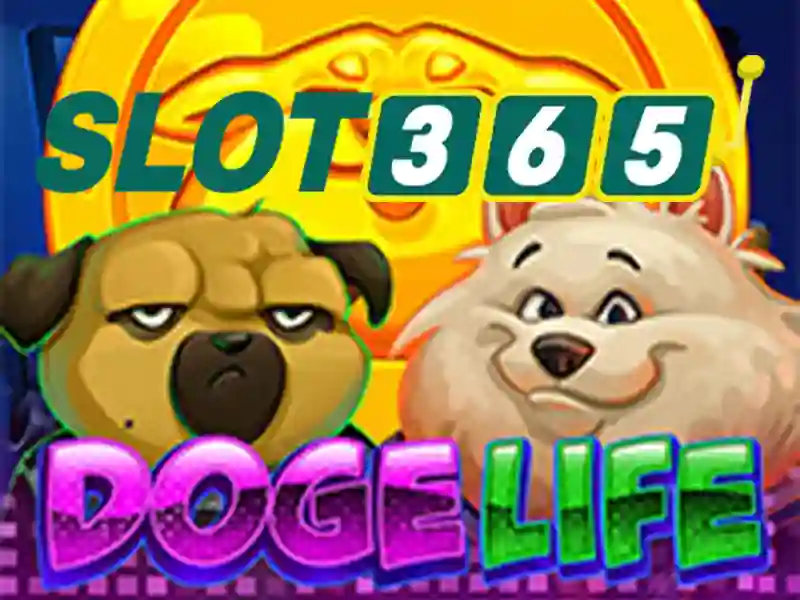 Slot365 rút tiền an toàn và nhanh chóng – trải nghiệm Slot365