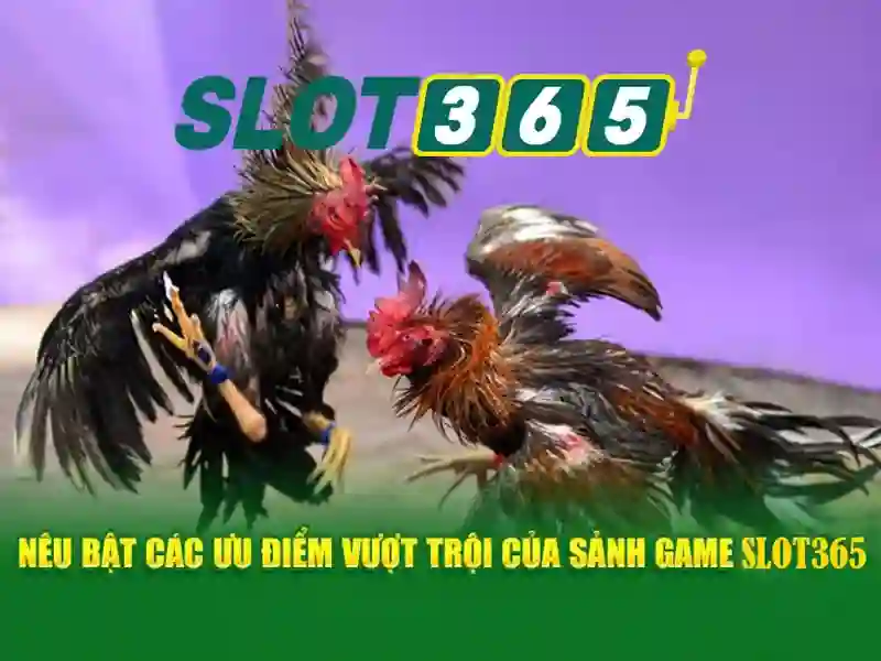 Slot365 - Tổng quan về nền tảng chơi slot trực tuyến