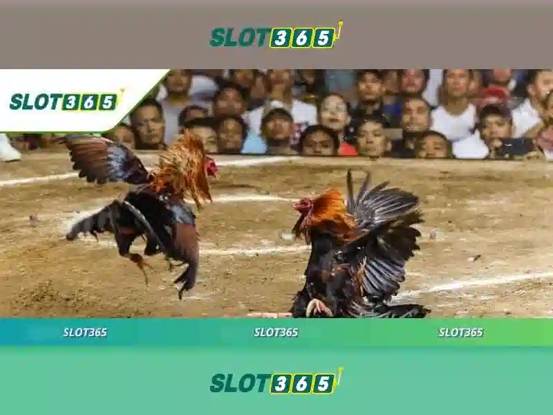 Slot365: Trải nghiệm slot trực tuyến an toàn và tiện lợi