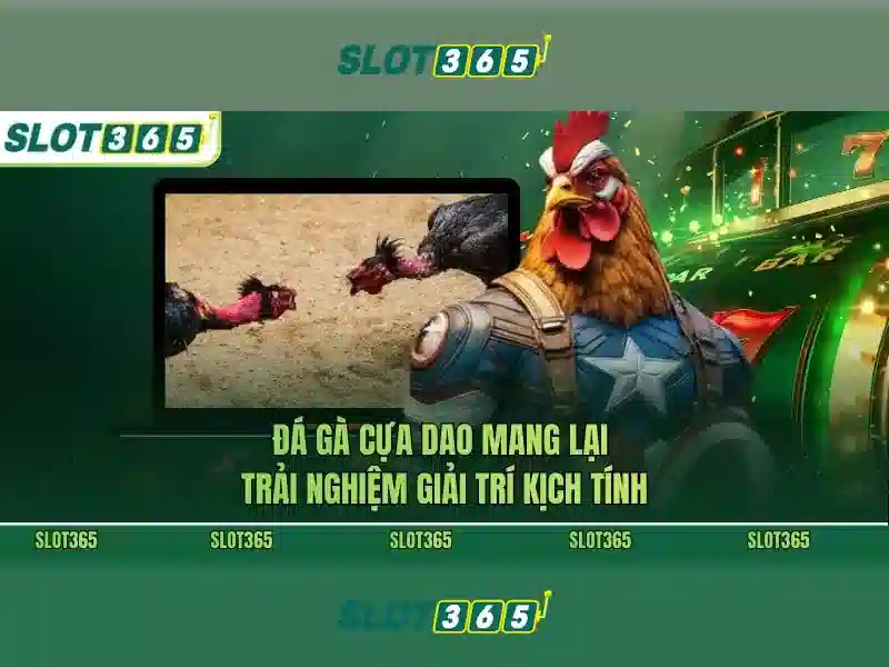 Slot365 – Trải nghiệm đánh bạc trực tuyến an toàn và thú vị