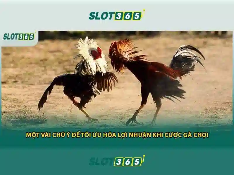 Slot365: Khám phá nền tảng chơi xèng trực tuyến