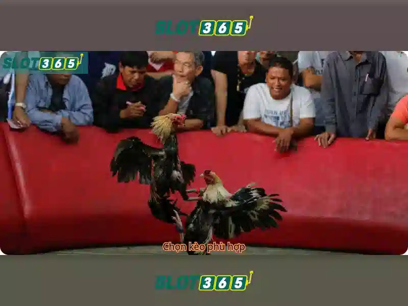 rút thưởng Slot365 – trải nghiệm an toàn và tiện ích