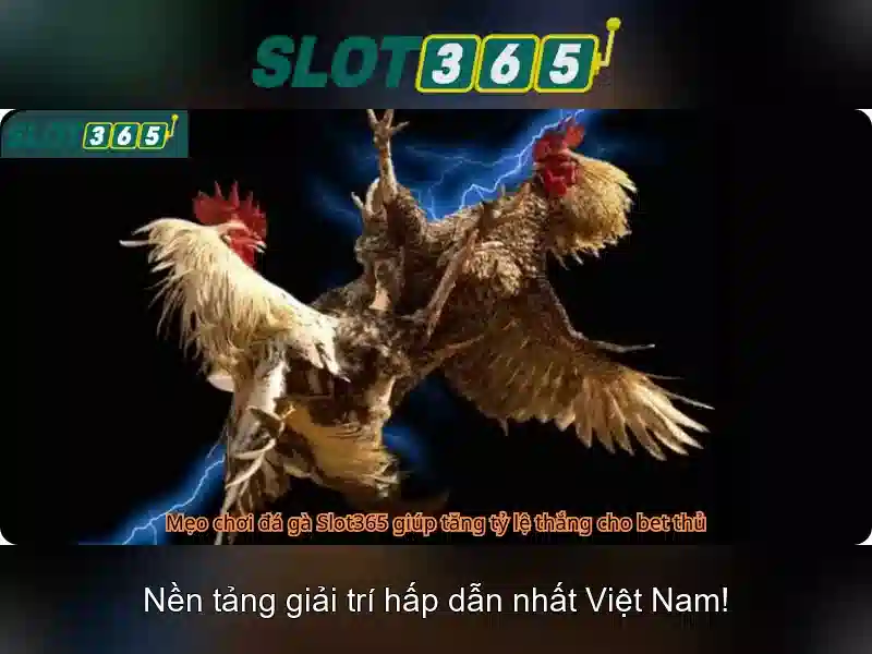 Slot365 - Trải nghiệm chơi slot đỉnh cao