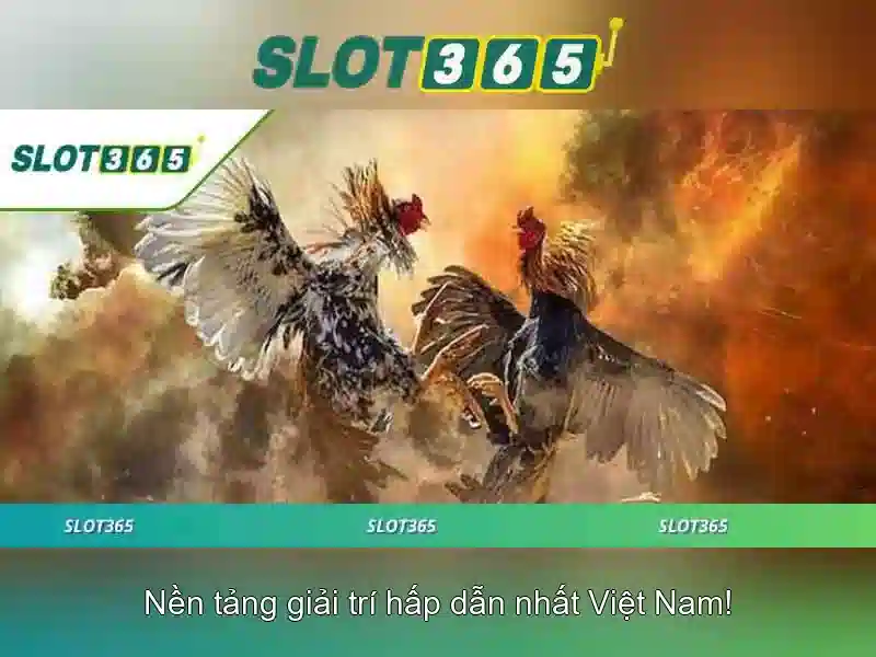 Slot365 – Khám phá nền tảng cá cược trực tuyến phổ biến