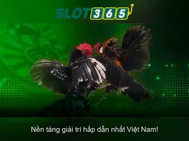 Slot365: Đánh giá và trải nghiệm cổng trò chơi trực tuyến nổi bật