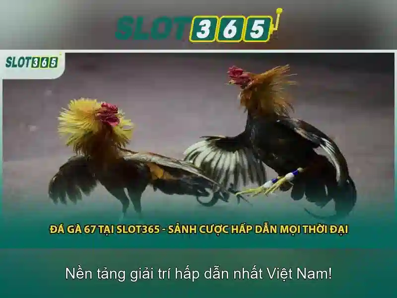 Slot365 - Khám phá thế giới máy slot trực tuyến