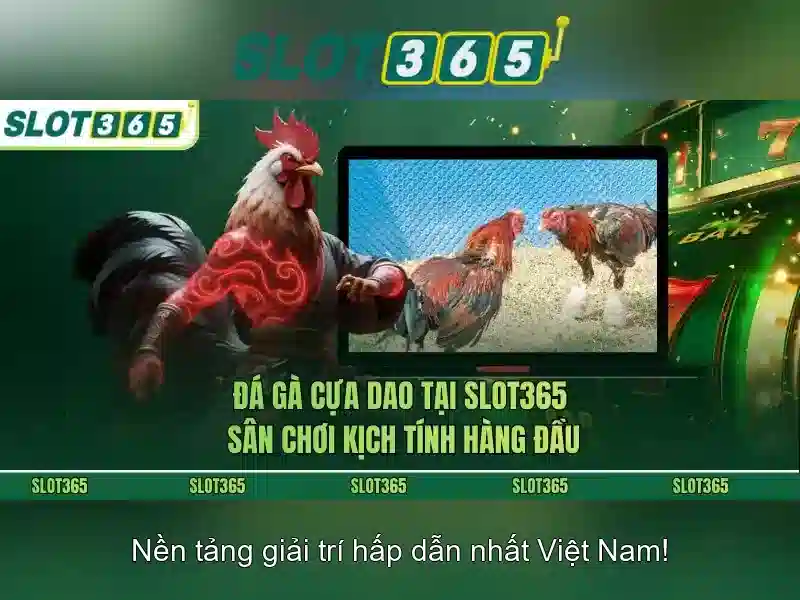 Slot365: Tổng quan về nền tảng máy đánh bạc trực tuyến