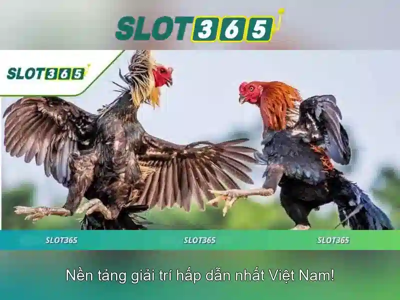 Slot365: Trải nghiệm slot trực tuyến an toàn và phong phú