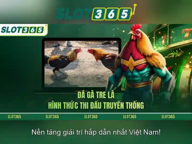 Slot365 - Tổng quan và trải nghiệm người chơi