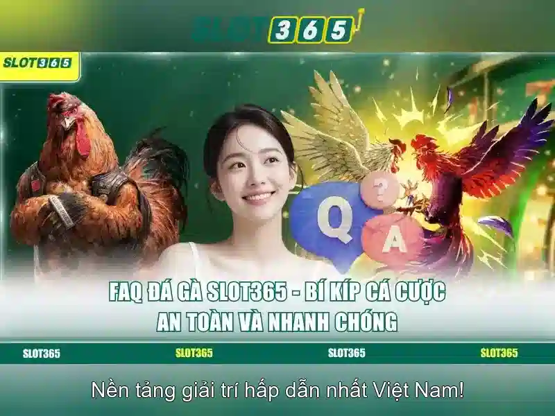Slot365 - Trải nghiệm casino trực tuyến hàng đầu