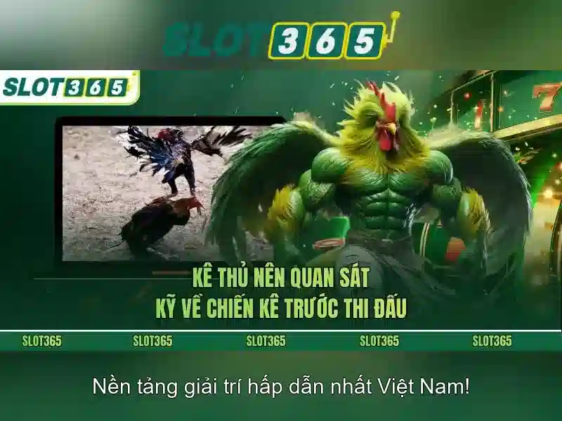 Slot365: Đánh giá nền tảng chơi slot trực tuyến