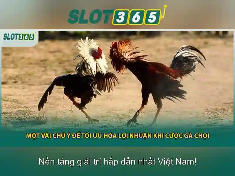 Slot365: Nền tảng chơi máy đánh bạc trực tuyến hàng đầu