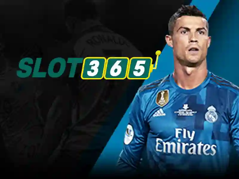 Slot365 là gì và tại sao nền tảng này thu hút người chơi